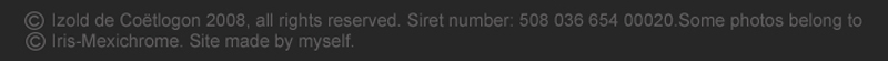 copyright