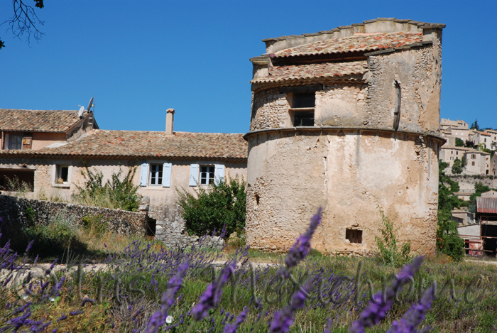 photo de pigeonnier