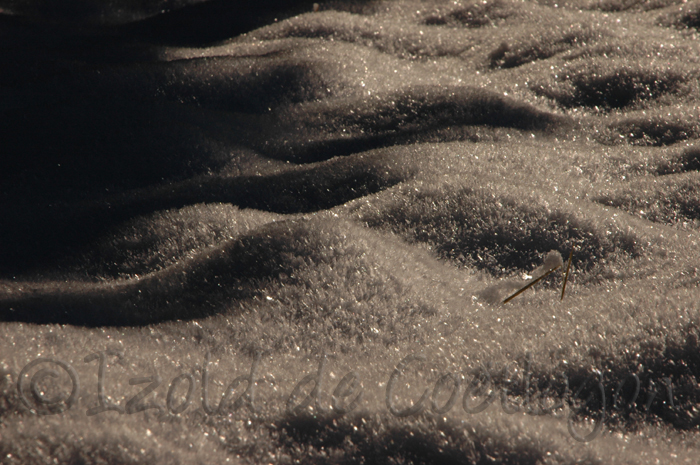 photo de neige