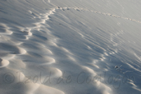 photo de la dune du Pyla