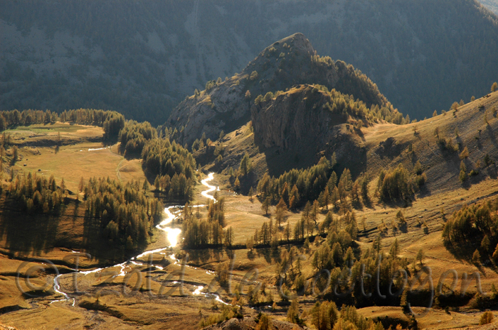 photo de Tête Ronde