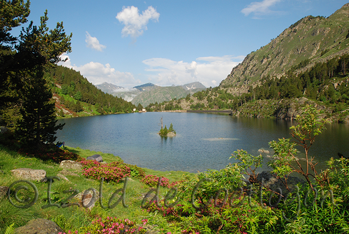 Etang des Bésines