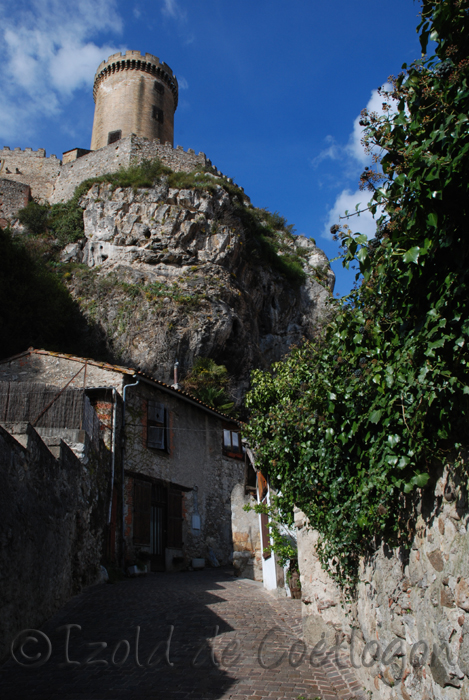 photo du château de foix