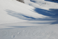 photo de neige, les Pyrénées