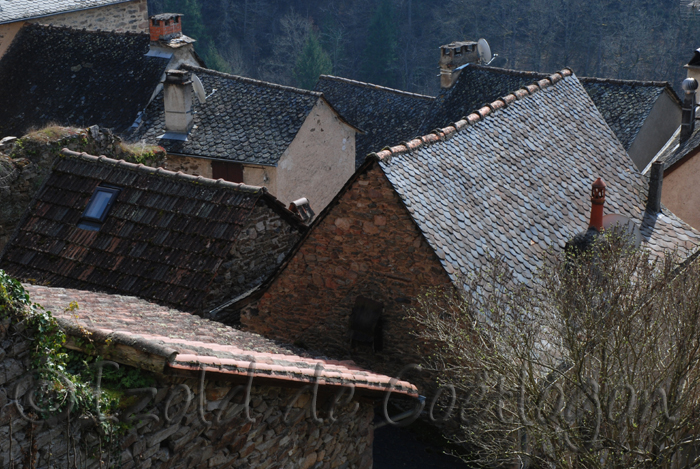 photo de Najac, toits