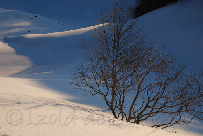 photo des pyrénées,  neige