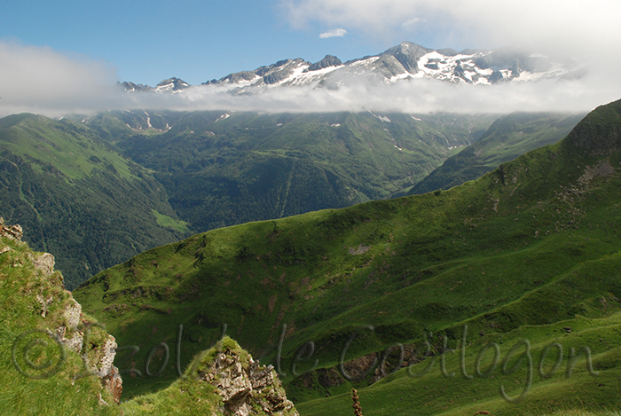 vallée du lys